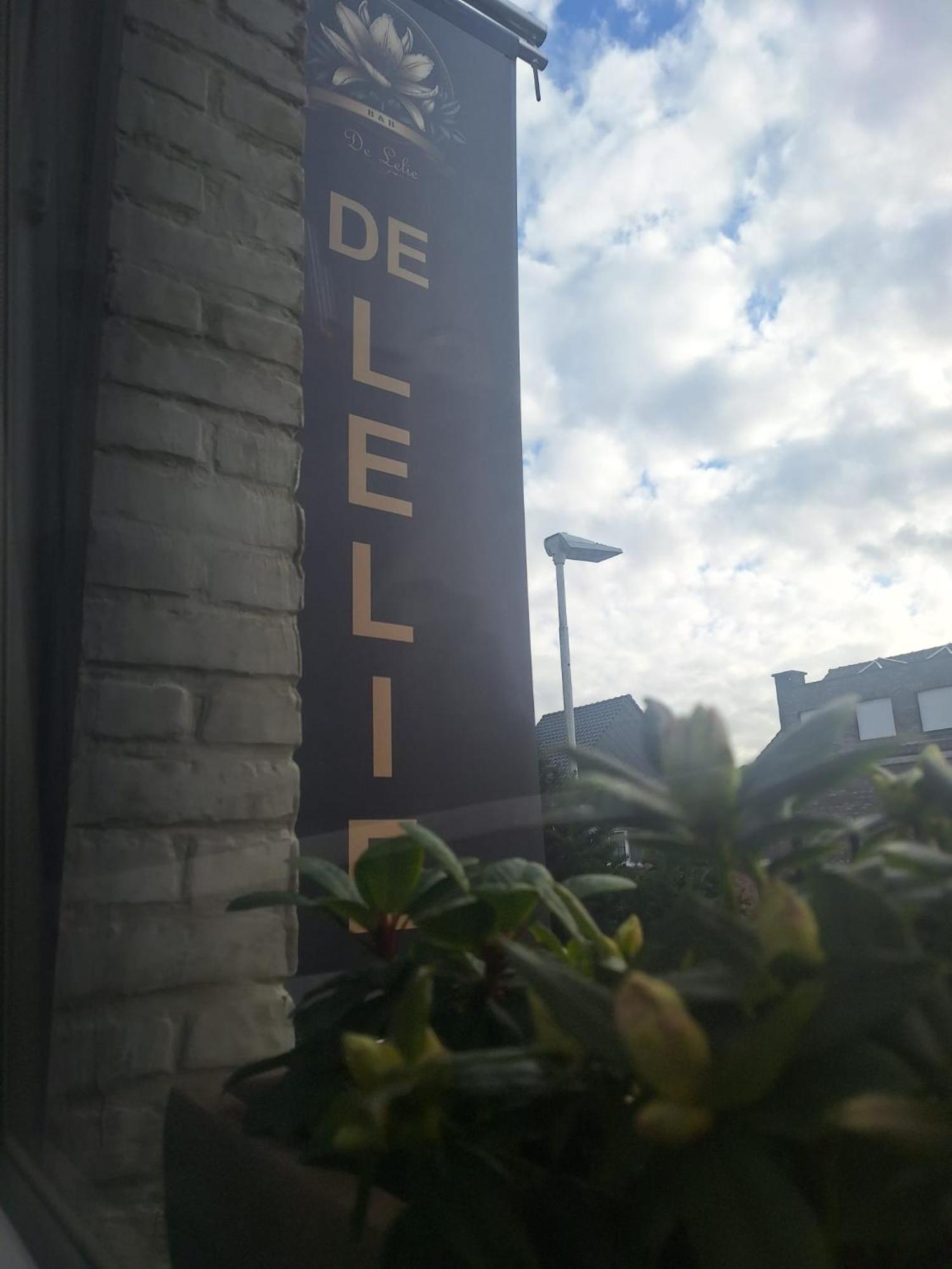 Schoten B&B De Lelie מראה חיצוני תמונה